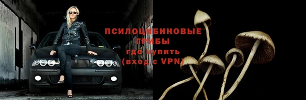 стафф Баксан