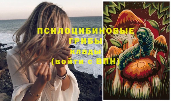 стафф Баксан