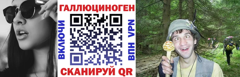 Купить Миньяр Псилоцибиновые грибы Psilocybine cubensis