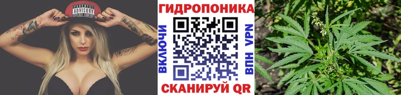 Купить закладки  Миньяр  Бошки марихуана Amnesia 